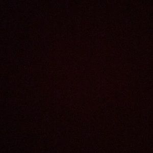 Meet your Posher, Dion